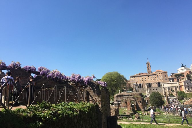 Private Tour: Colosseum & Imperial Rome Art History Walking Tour - 3207A - Tour Overview and Features
