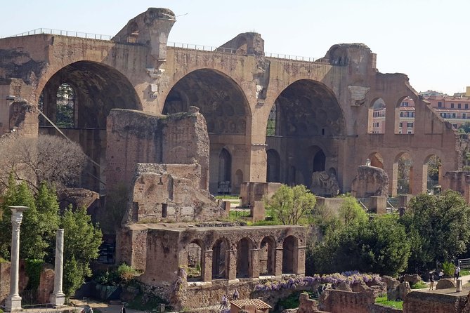 Private Tour: Colosseum & Imperial Rome Art History Walking Tour - 3207A - Reviews and Ratings