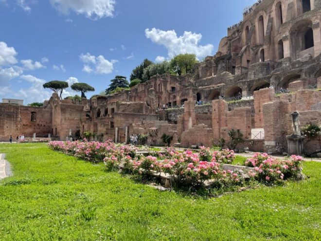 Private Tour: Colosseum, Roman Forum & Palatine Hill - Exclusions