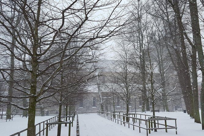 Private tour Copenhagen to Lund & Malmö City daytrip - Final Thoughts: Who Is This Tour Best For?