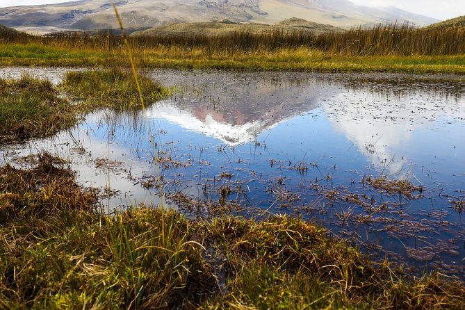 Private Tour Cotopaxi - Included Services