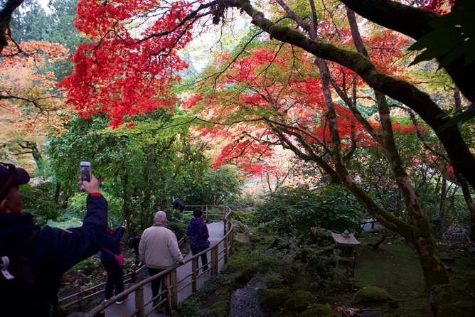 Private Tour Countryside Roads to Butchart Gardens & City - 5 Hrs - Overview