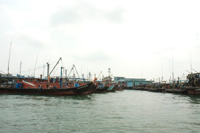 Private Tour: Crab Island Sightseeing Boat Ride and Seafood Lunch - Reviews