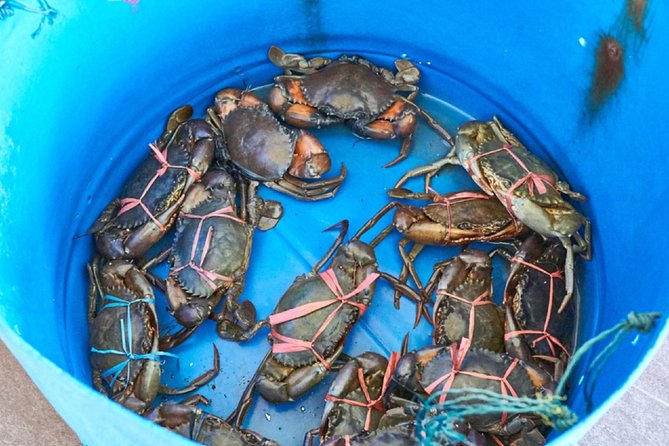 Private Tour: Crab Island Sightseeing Boat Ride and Seafood Lunch - Frequently Asked Questions