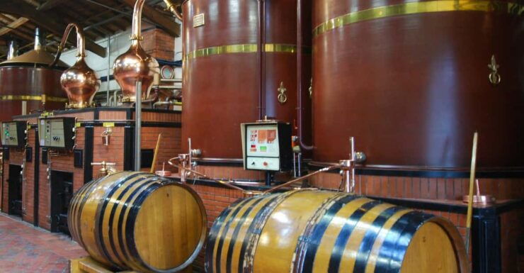 Private Tour: Craft Distilleries in Cognac Vineyards - Highlights of the Experience