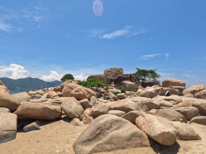 Private Tour - Cruise Terminal Half Day Nha Trang City - Included Services