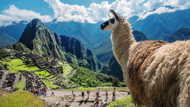 Private Tour Cusco - Queswachaka and Machu Picchu 8D - 7N - Tour Details and Experience