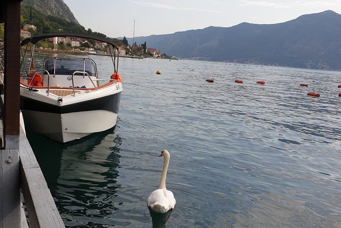 Private Tour: Custom Made (Charged per Hour) - Reviews Overview
