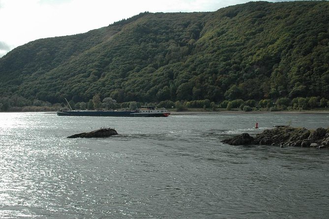 Private Tour: Customizable Rhine Valley Day Trip From Frankfurt - Return to Frankfurt