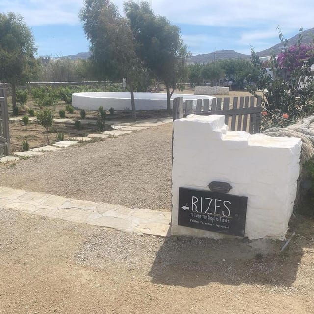 Private Tour: Customize Your Perfect Day in Mykonos - Who Should Consider This Tour?