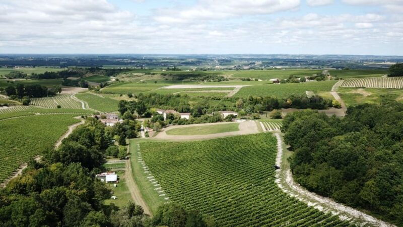 Private Tour Day in the Heart of the Cognac Vineyards - Discover the Charm of Cognac Vineyards