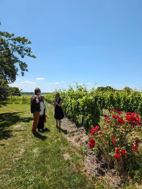 Private Tour Day in the Heart of the Cognac Vineyards - Scenic Drives and Photo Opportunities