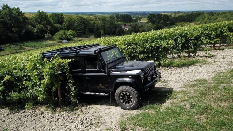 Private Tour Day in the Heart of the Cognac Vineyards - Savoring Local Flavors: Charentais Snacks