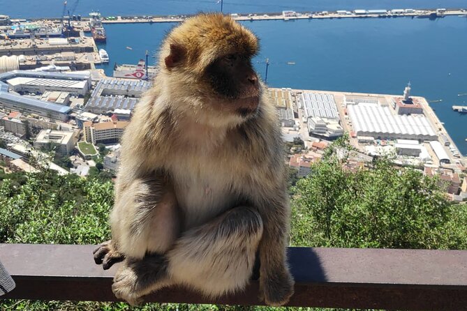 Private Tour: Day Through Gibraltar and Morocco, Tangier From Seville - Inclusions and Exclusions