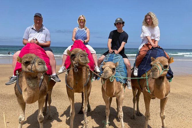 Private Tour: Day Through Gibraltar and Morocco, Tangier From Seville - Booking and Contact Details