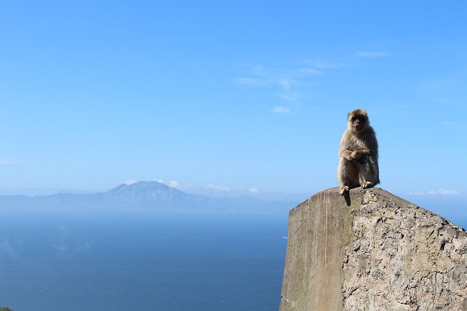 Private Tour: Day Through Gibraltar and Morocco, Tangier From Seville - Frequently Asked Questions