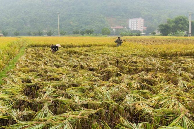 Private Tour: Day Tour of Mai Chau From Hanoi - Common Questions