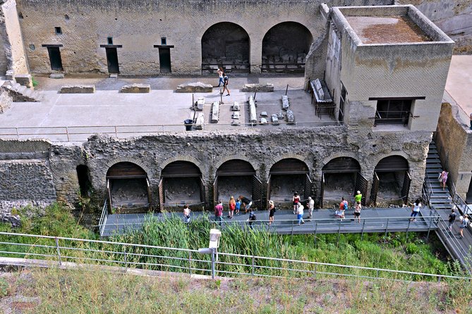 Private Tour: Day Trip Excursion to Herculaneum, Positano and Sorrento - Accessibility