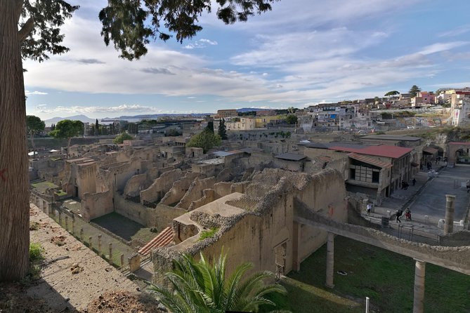 Private Tour: Day Trip Excursion to Mt. Vesuvius, Herculaneum and Pompeii - Tour Duration and Logistics