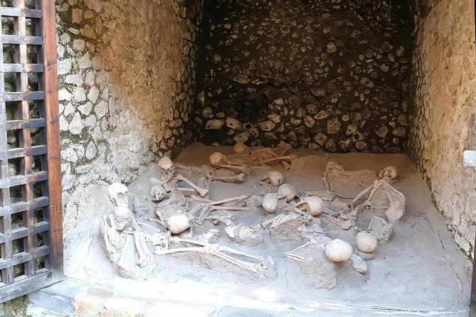 Private Tour: Day Trip Excursion to Mt. Vesuvius, Herculaneum and Pompeii - Cancellation Policy and Refunds