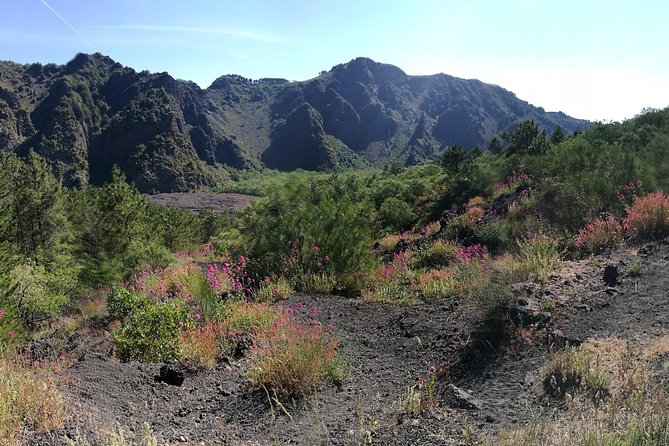 Private Tour: Day Trip Excursion to Mt. Vesuvius, Herculaneum and Pompeii - Traveler Tips and Reviews