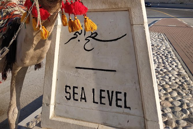 Private Tour: Dead Sea and Masada - Booking Information