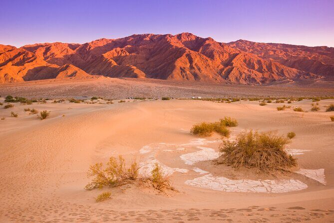 Private Tour Death Valley National Park from Las Vegas - The Experience: Pros and Cons