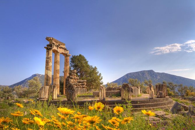 Private Tour: Delphi Day Trip From Athens Including Wonderful Local Lunch - Reviews