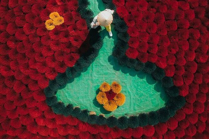 Private Tour Discover Incense Village, Hoa Lu & Tam Cocs Beauty - Good To Know