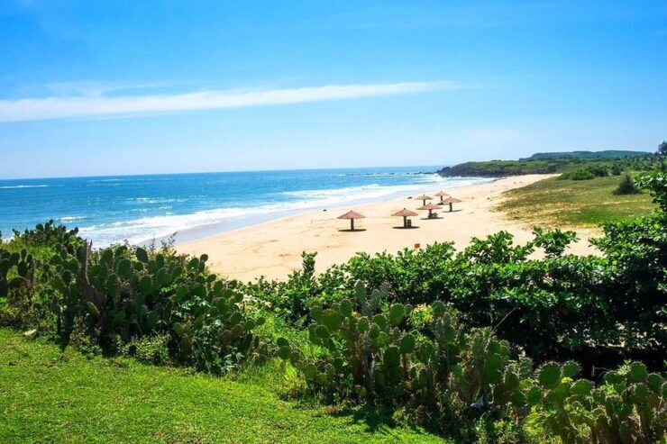 PRIVATE TOUR| DISCOVER PHU YEN FROM NHA TRANG - Itinerary Highlights