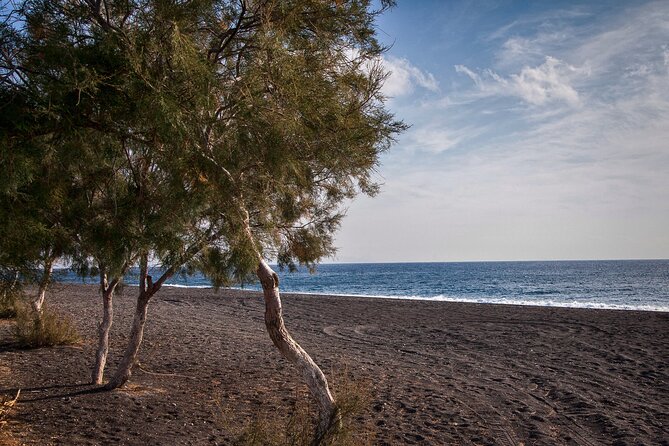 Private Tour: Discover South of Santorini - Product Details