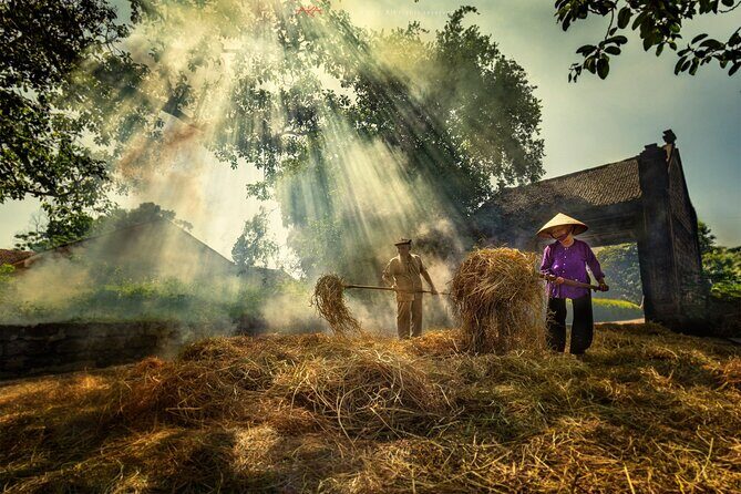 Private Tour Discover Thay Pagoda, Duong Lam Ancient Village - What to Expect from the Tour