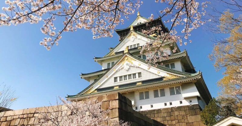 Private Tour: Discover the Best of Osaka with a Local Guide - What’s Not Included