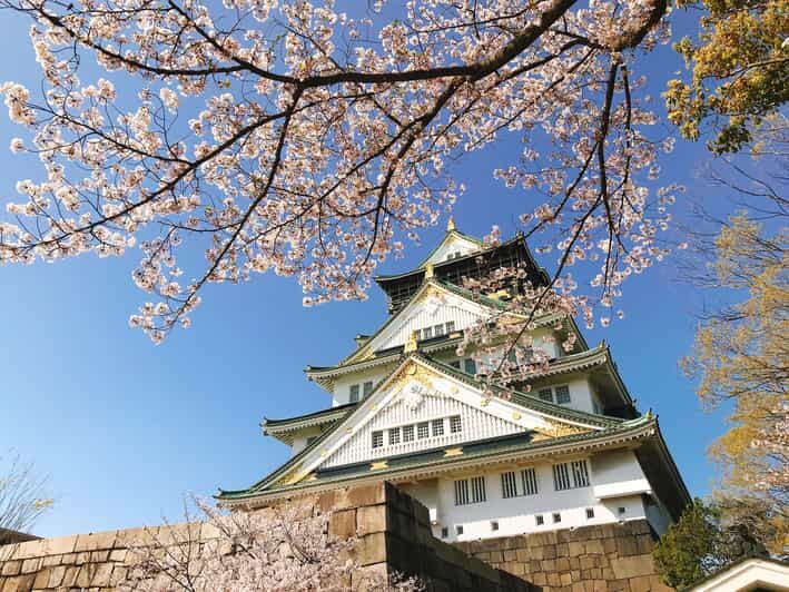 Private Tour: Discover the Best of Osaka with a Local Guide - Good To Know