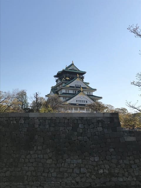Private Tour: Discover the Best of Osaka with a Local Guide - Practical Tips for Your Day