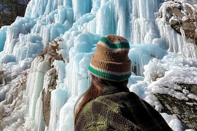 Private Tour: DMZ Aegibong & Korean Culinary Workshop Experience - Who Is This Tour Best Suited For?