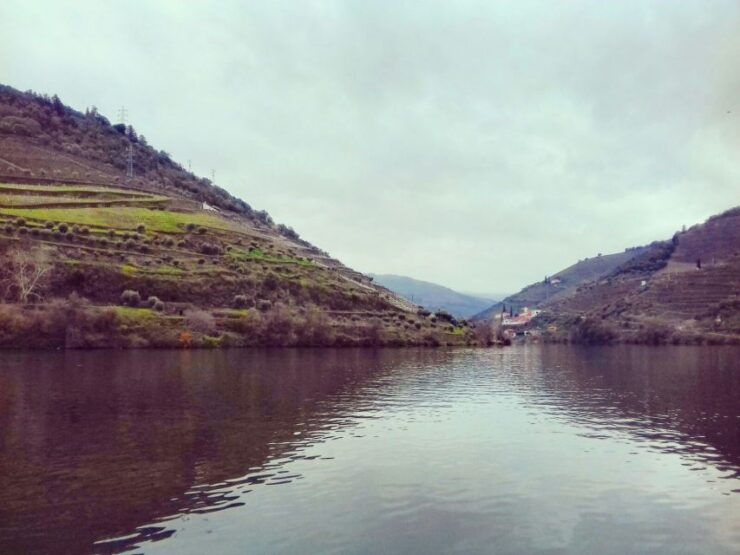 Private Tour: Douro Valley Wine and Food From Oporto - Tour Booking Information