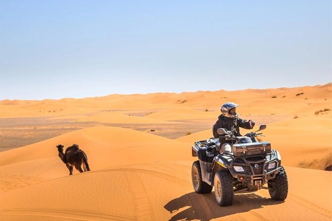 Private Tour Dubai Desert 4x4 Dune, Ride 30min Quad, Camel Ride - Experience Details