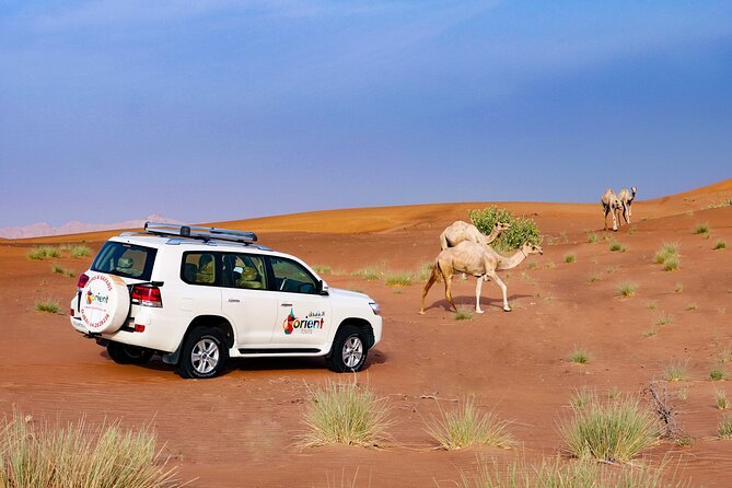Private Tour : Dubai Desert 4x4 Safari With Camp Activities & BBQ Dinner - Fun Activities at the Bedouin-style Desert Camp