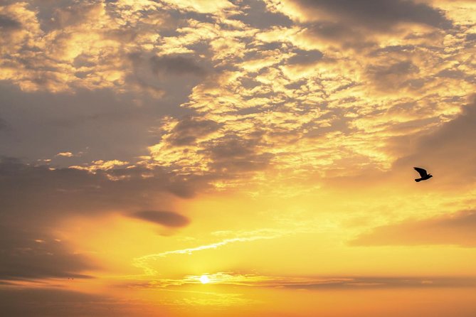 Private Tour: Dubrovnik Sunset Cruise With Jeanneau Cap Camarat 7.5 WA - Customer Review