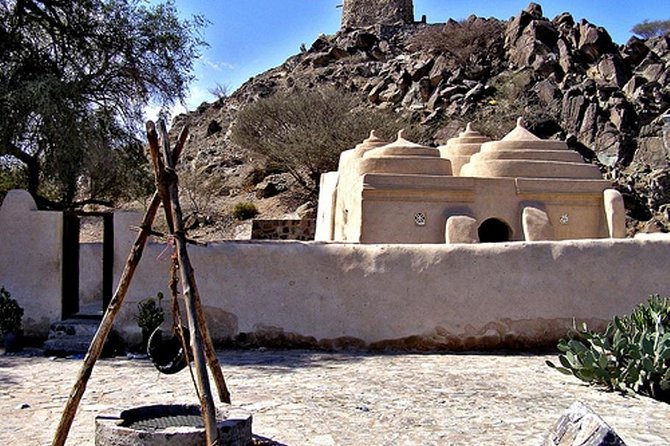 Private Tour: East Coast and Fujairah Day Trip From Dubai - Inclusions