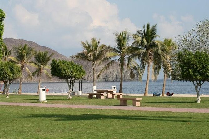 Private Tour: East Coast and Fujairah Day Trip From Dubai - What to Expect