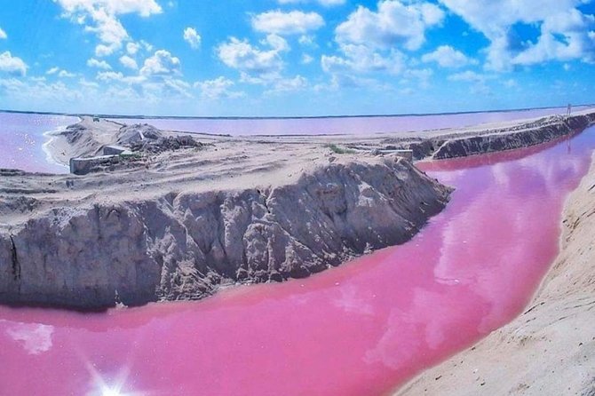 Private Tour: Ek Balam, Pink Flamingos Sanctuary and Tequila Tasting Factory - Tour Highlights