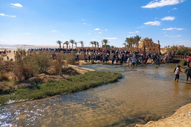 Private Tour El Fayoum Oasis and Wadi Rayan Waterfall From Cairo - Exploring Al Fayoum Oasis With a Private Guide