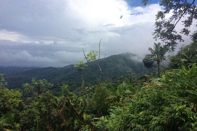Private Tour El Yunque Rainforest swimming waterfall - FAQ