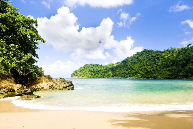 Private Tour Englishmans Bay From Tobago - Tour Itinerary