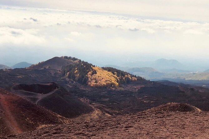 Private Tour Etna and Taormina From Catania - Tour Highlights
