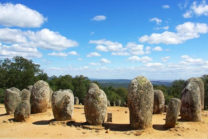 Private Tour: Évora and Almendres Cromlech Day Trip From Lisbon - Positive Feedback About the Tour Guide