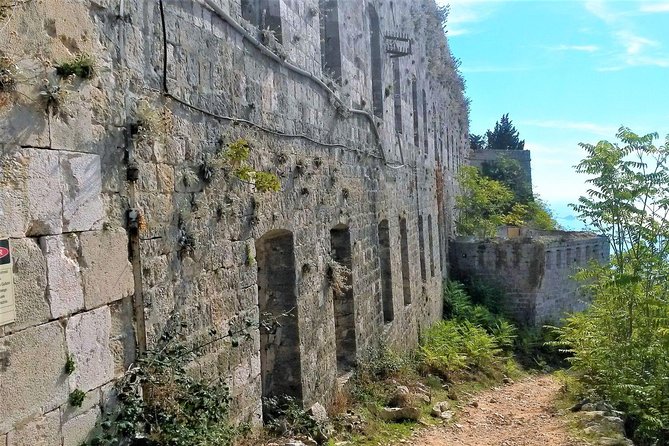 Private Tour Experience Dubrovnik Best Of Serene Views & Tales - Pricing Details