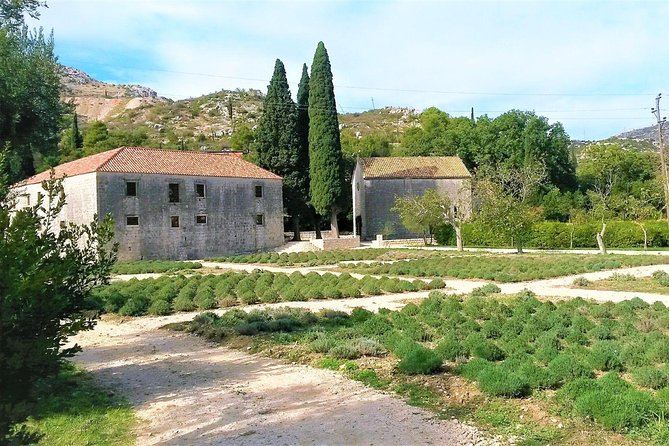 Private Tour Experience Dubrovnik Best Of Serene Views & Tales - Frequently Asked Questions